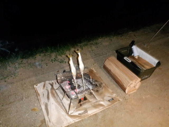 DSCF2517.JPG