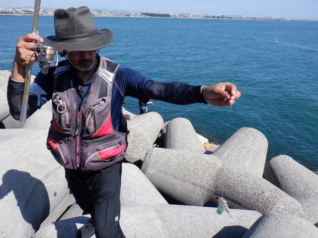 DSCF2733.JPG