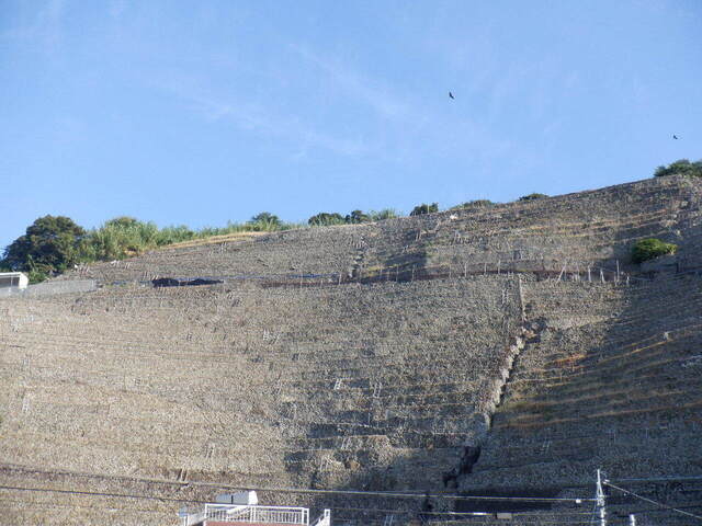 DSCF6073.JPG