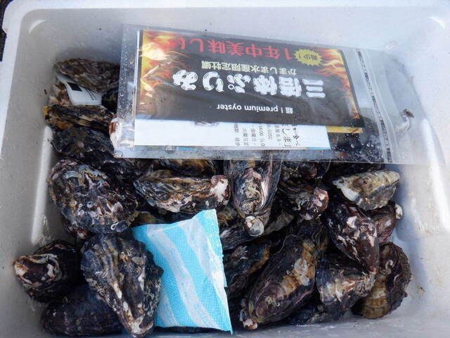 DSCF6269.JPG