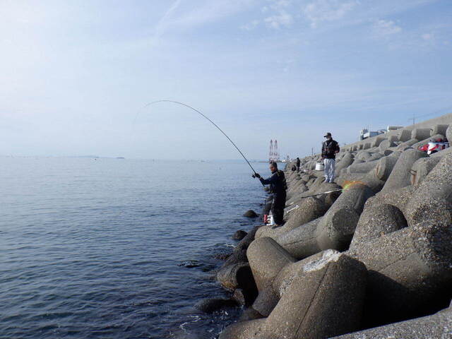 DSCF6442.JPG