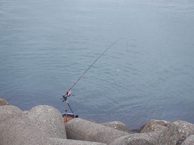 DSCF6469.JPG