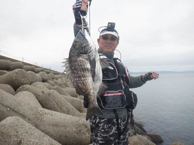 DSCF6494.JPG