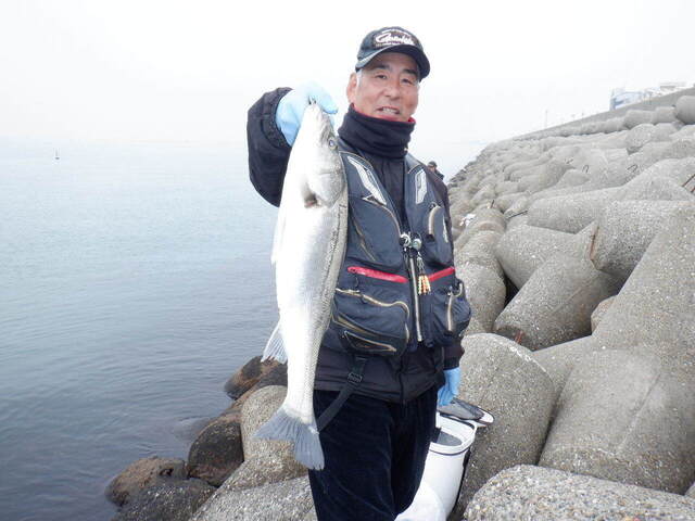 DSCF6535.JPG