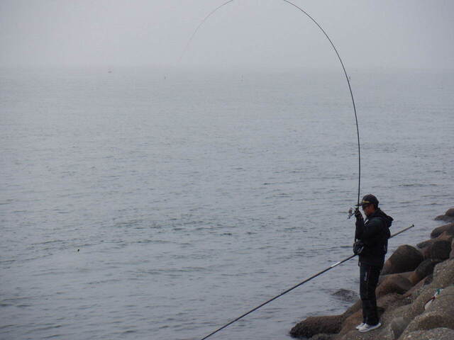 DSCF6546.JPG