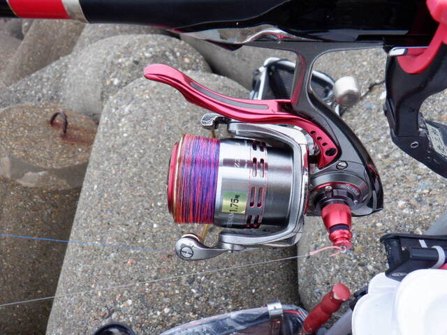 DSCF6567.JPG