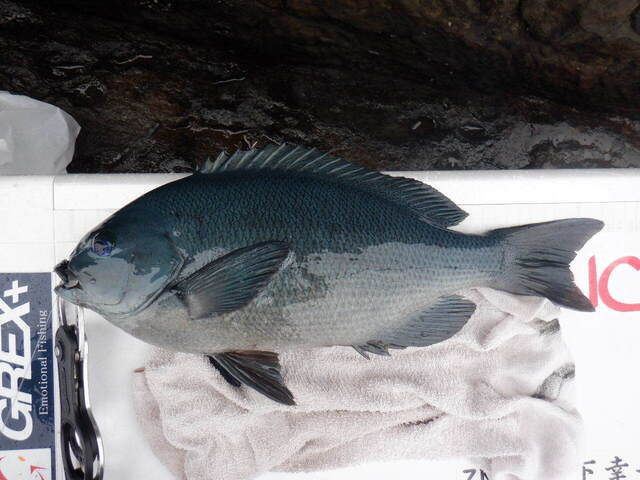 DSCF6922.JPG