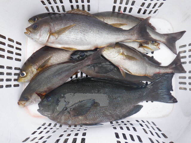 DSCF6936.JPG